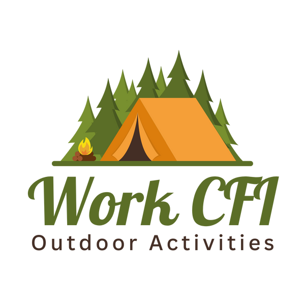 workcfi.com